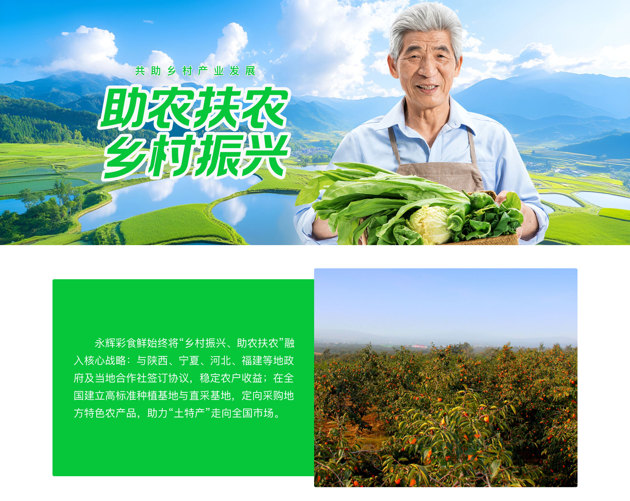 乡村振兴-1