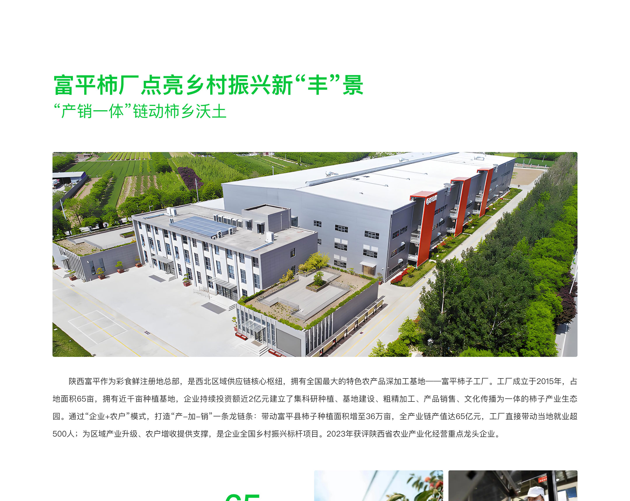 乡村振兴-2