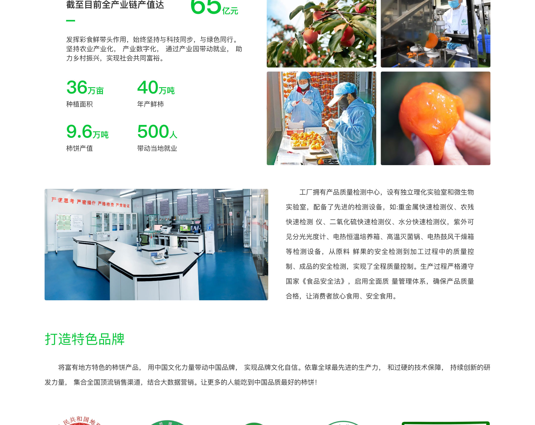 乡村振兴-3
