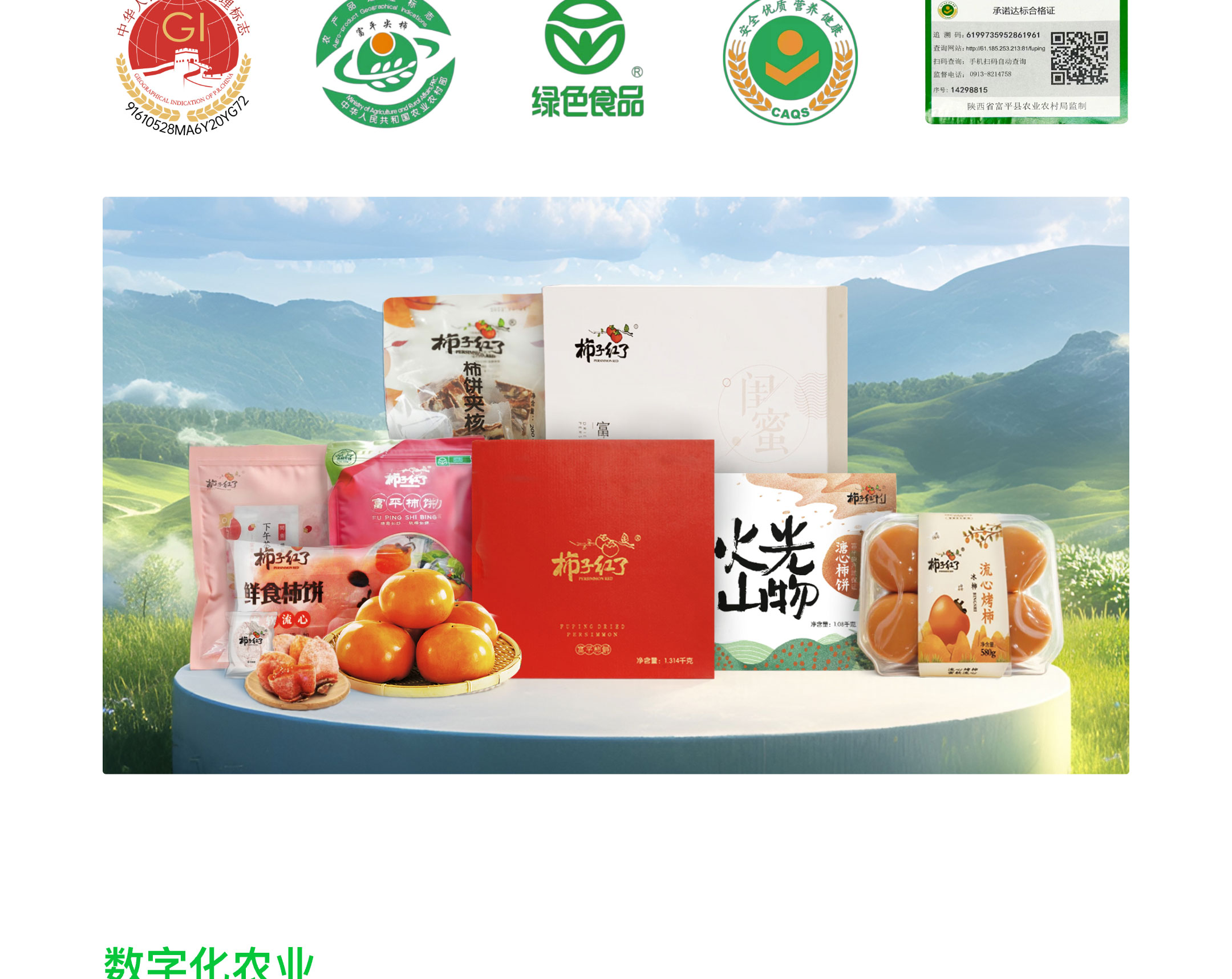 乡村振兴-4