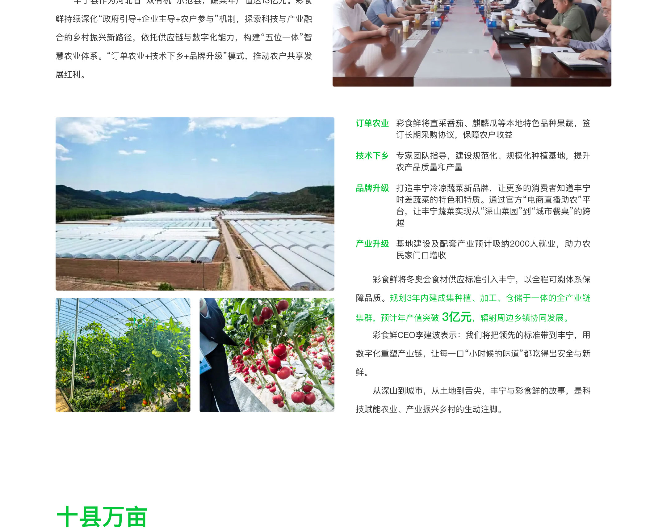 乡村振兴-6
