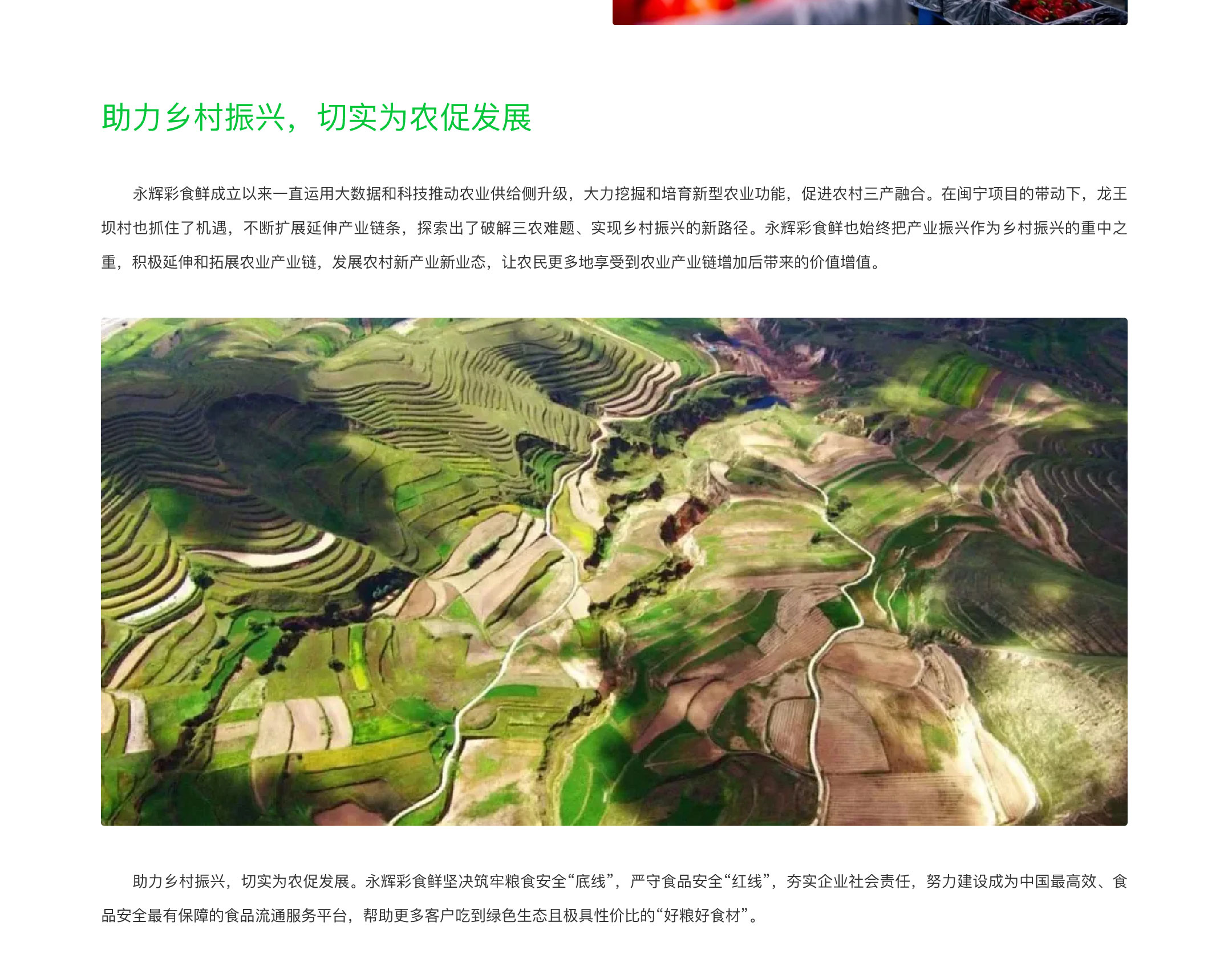 乡村振兴-10